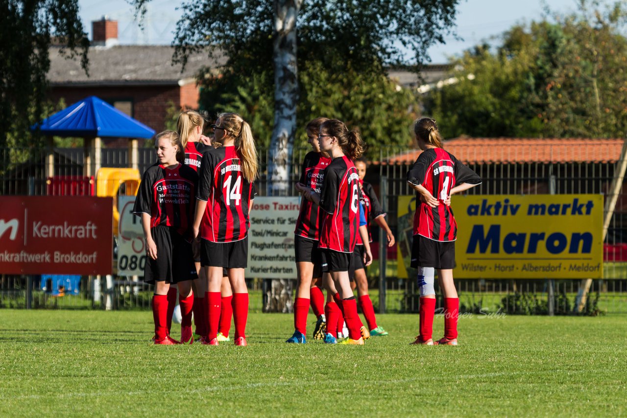 Bild 97 - B-Juniorinnen SG Wilstermarsch - SV Henstedt Ulzburg : Ergebnis: 5:1